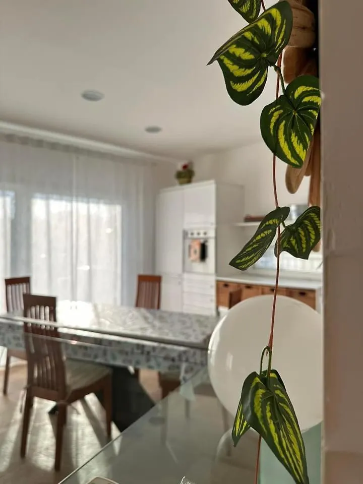 Casa Vacanze Roberta Ριτσιόνε